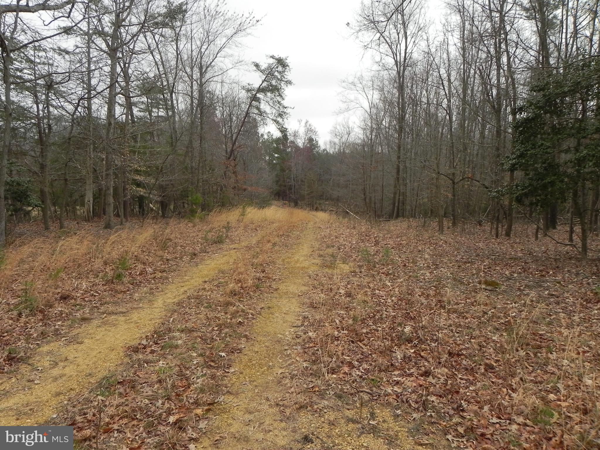 TOMAKOKIN CREEK FARMSTEAD - Land