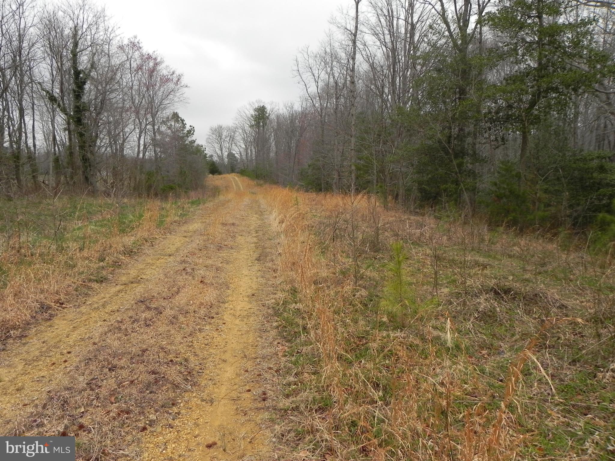 TOMAKOKIN CREEK FARMSTEAD - Land