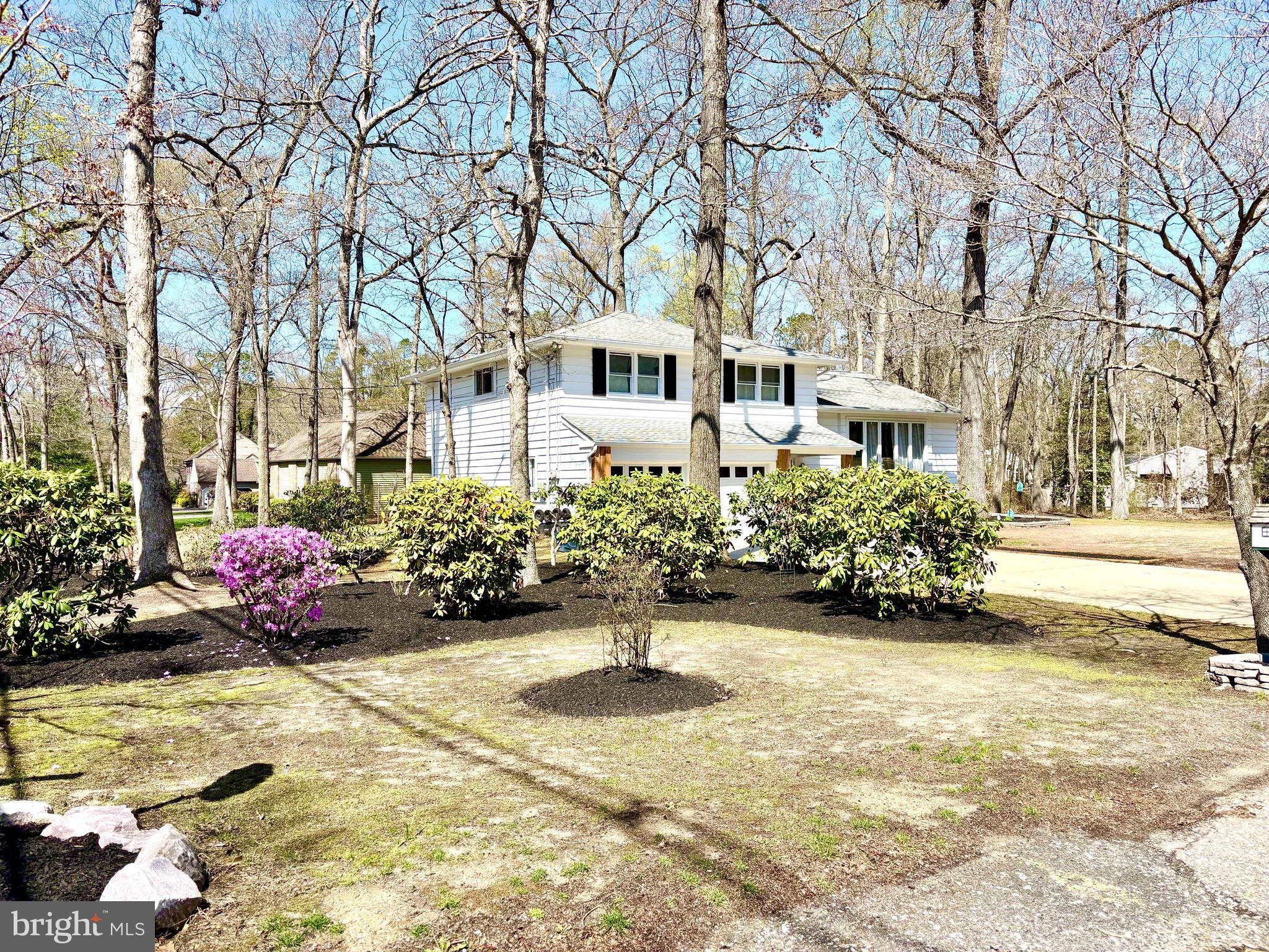 4 WHITE BIRCH TRAIL