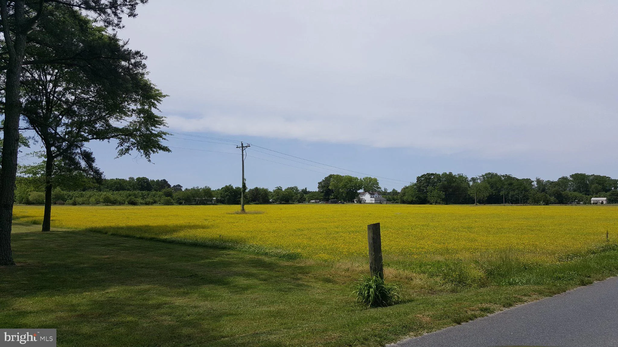32451 W Post Office Road, Princess Anne, MD 21853