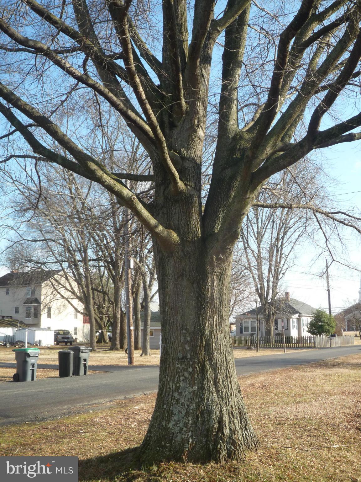 PHILLIPS - Residential Lease