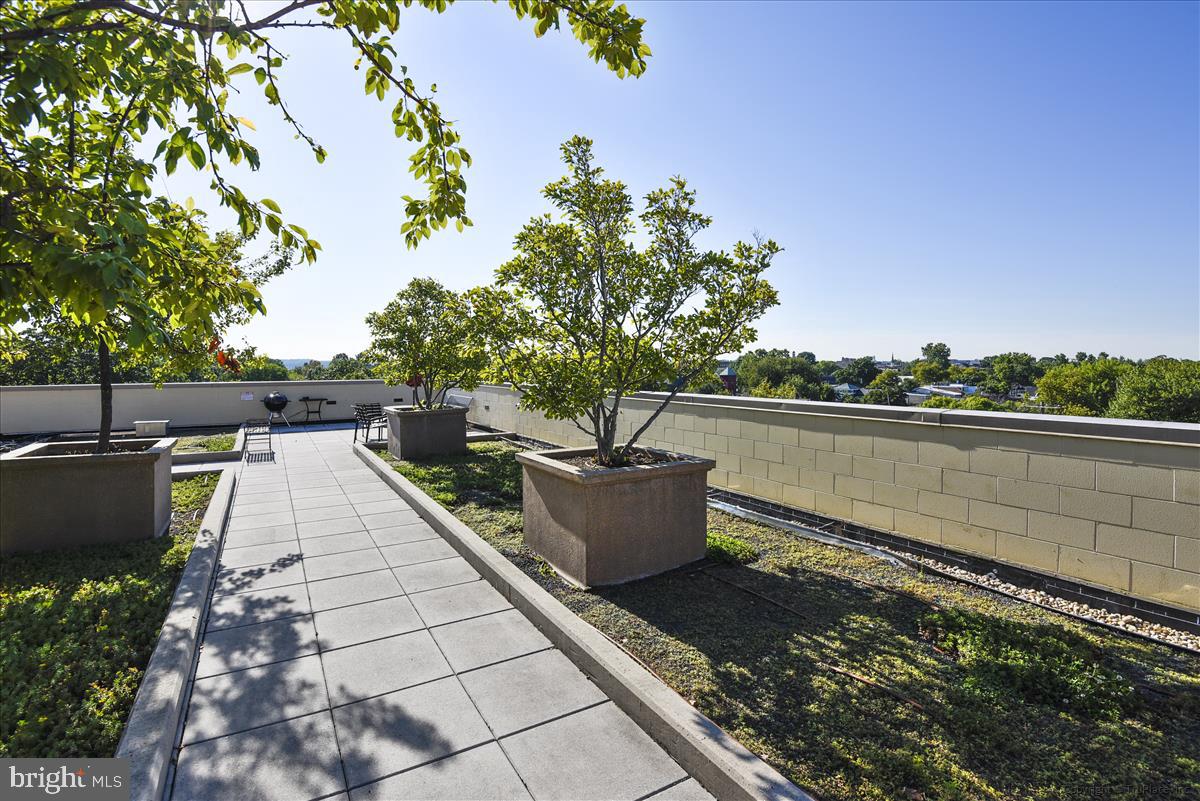 THE HENRY - Residential