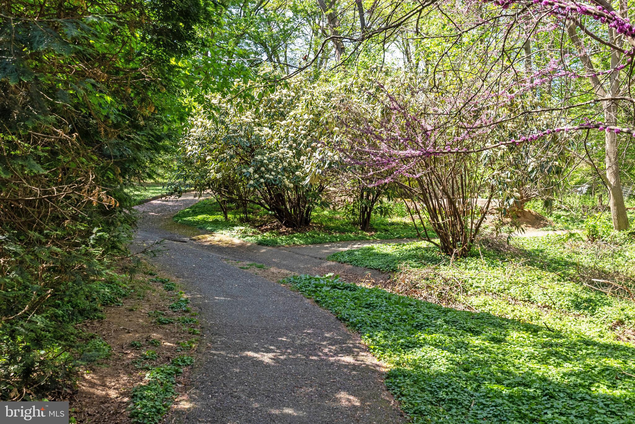 WESTMORELAND HILLS - Residential