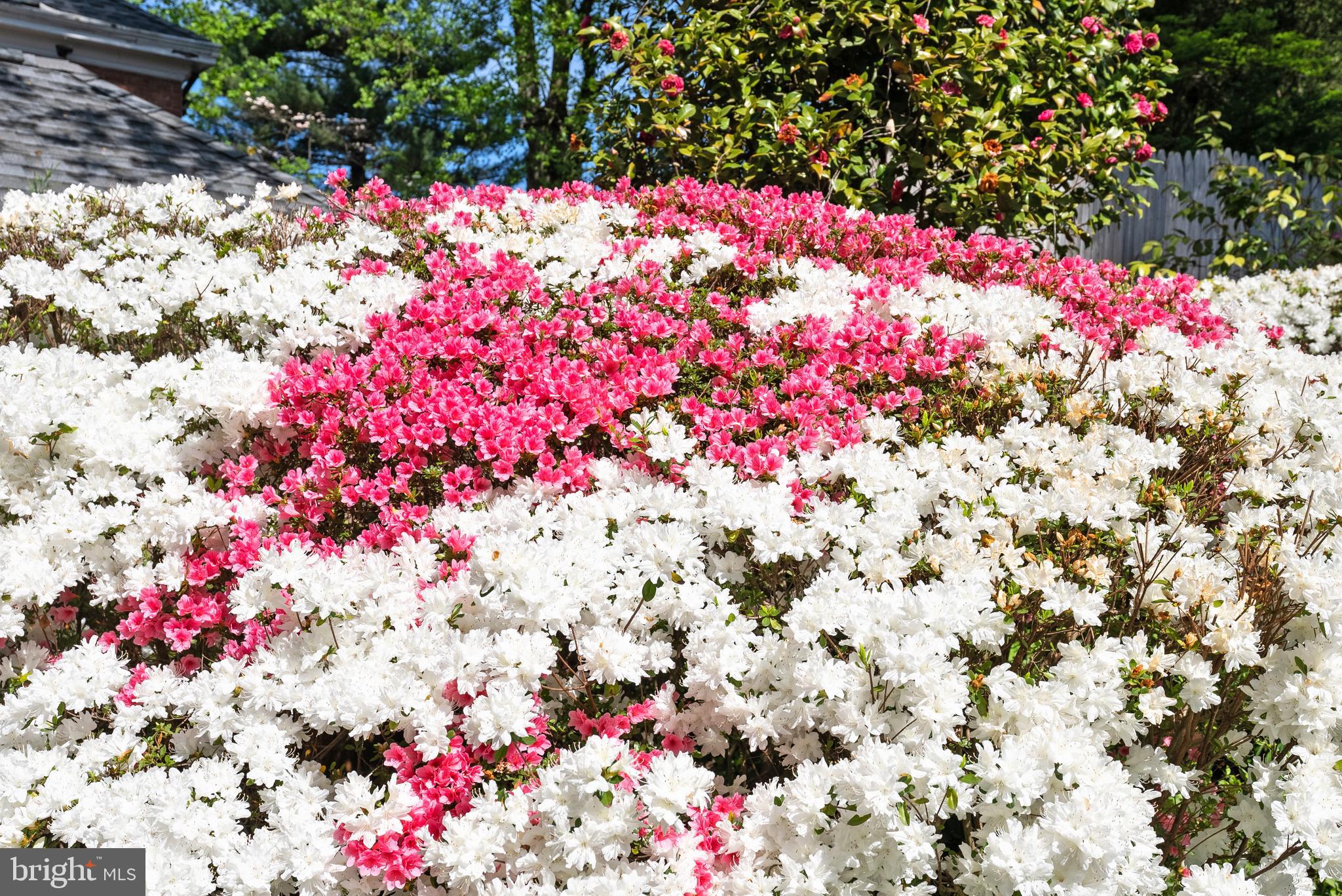 WESTMORELAND HILLS - Residential