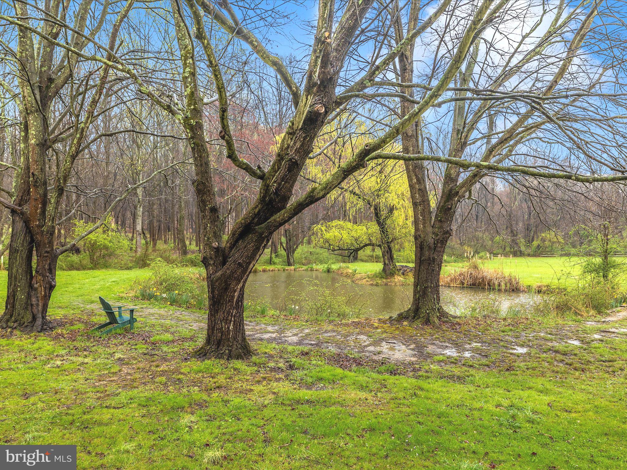 BLACK HILL ESTATES - Residential