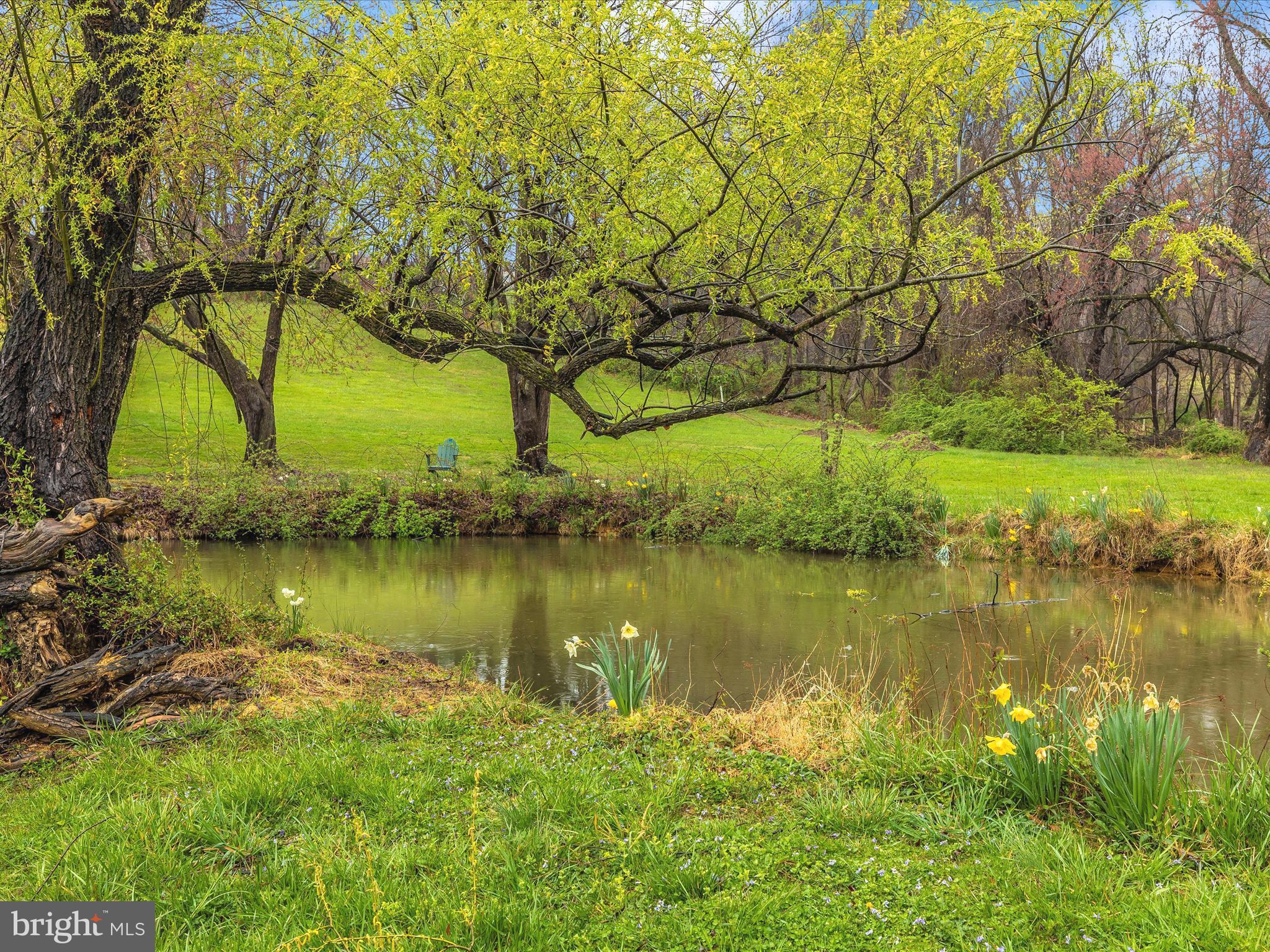 BLACK HILL ESTATES - Residential