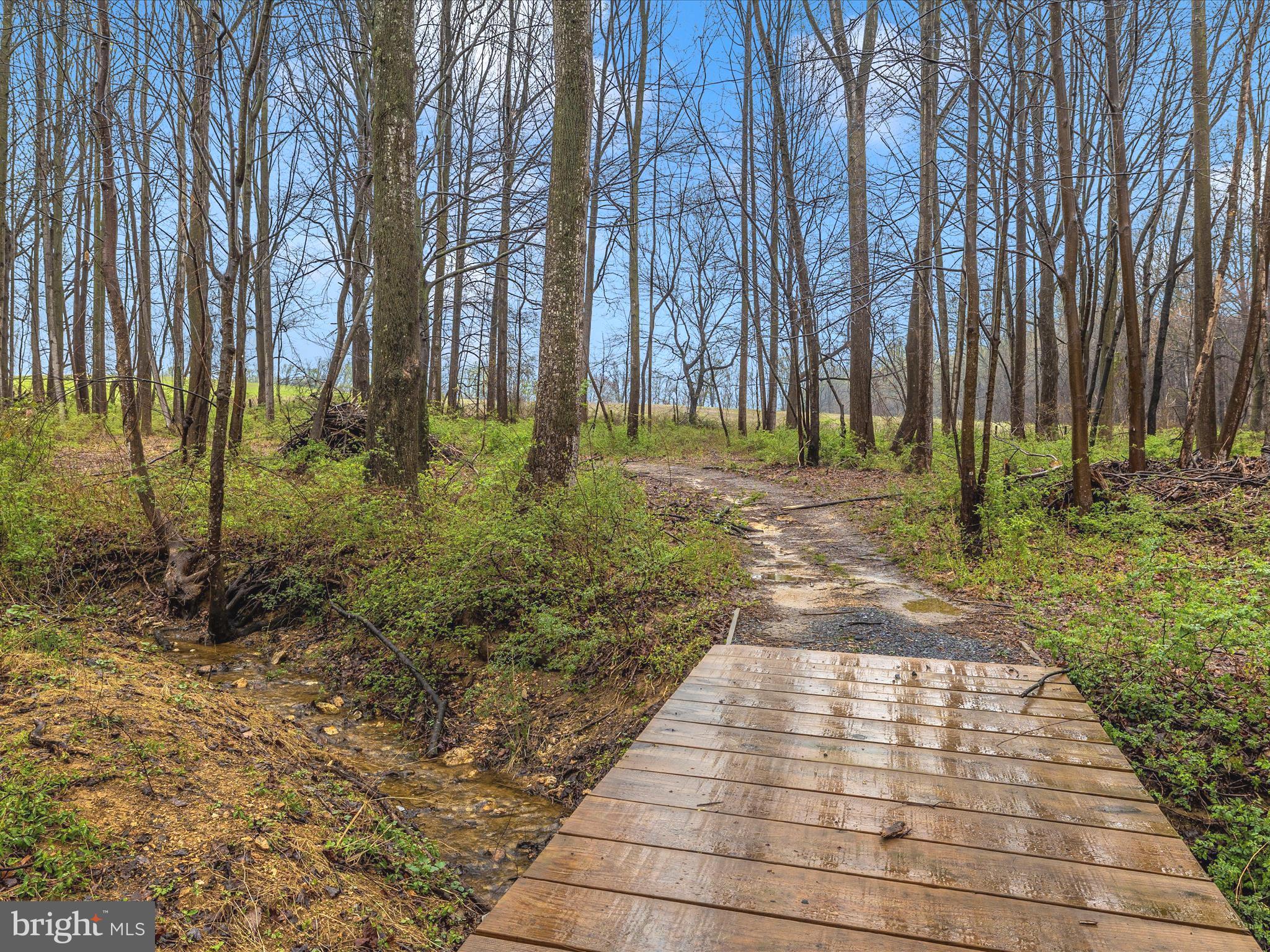 BLACK HILL ESTATES - Residential