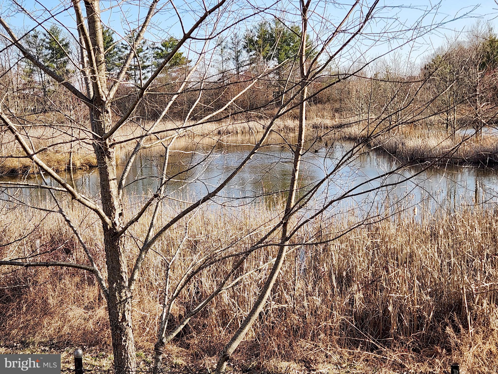 PARADISE - Residential Lease