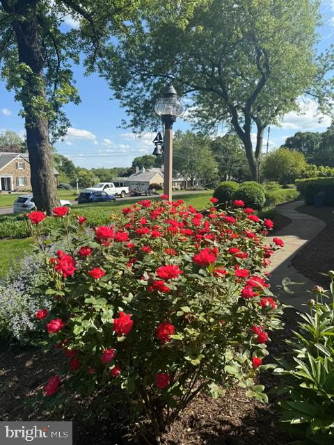 DOYLESTOWN - Residential