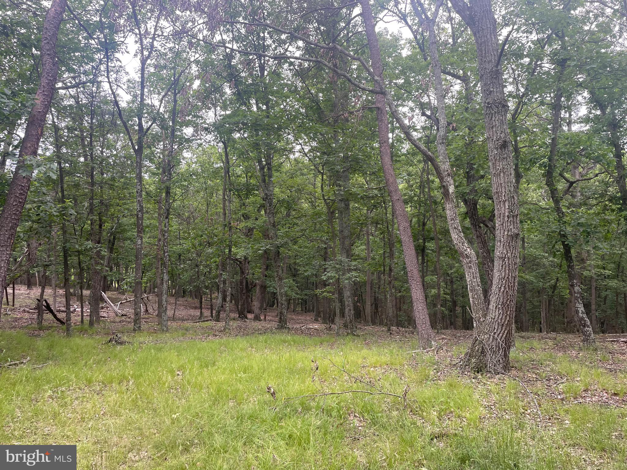 MOUNTAIN HOME SUBDIVISION - Residential