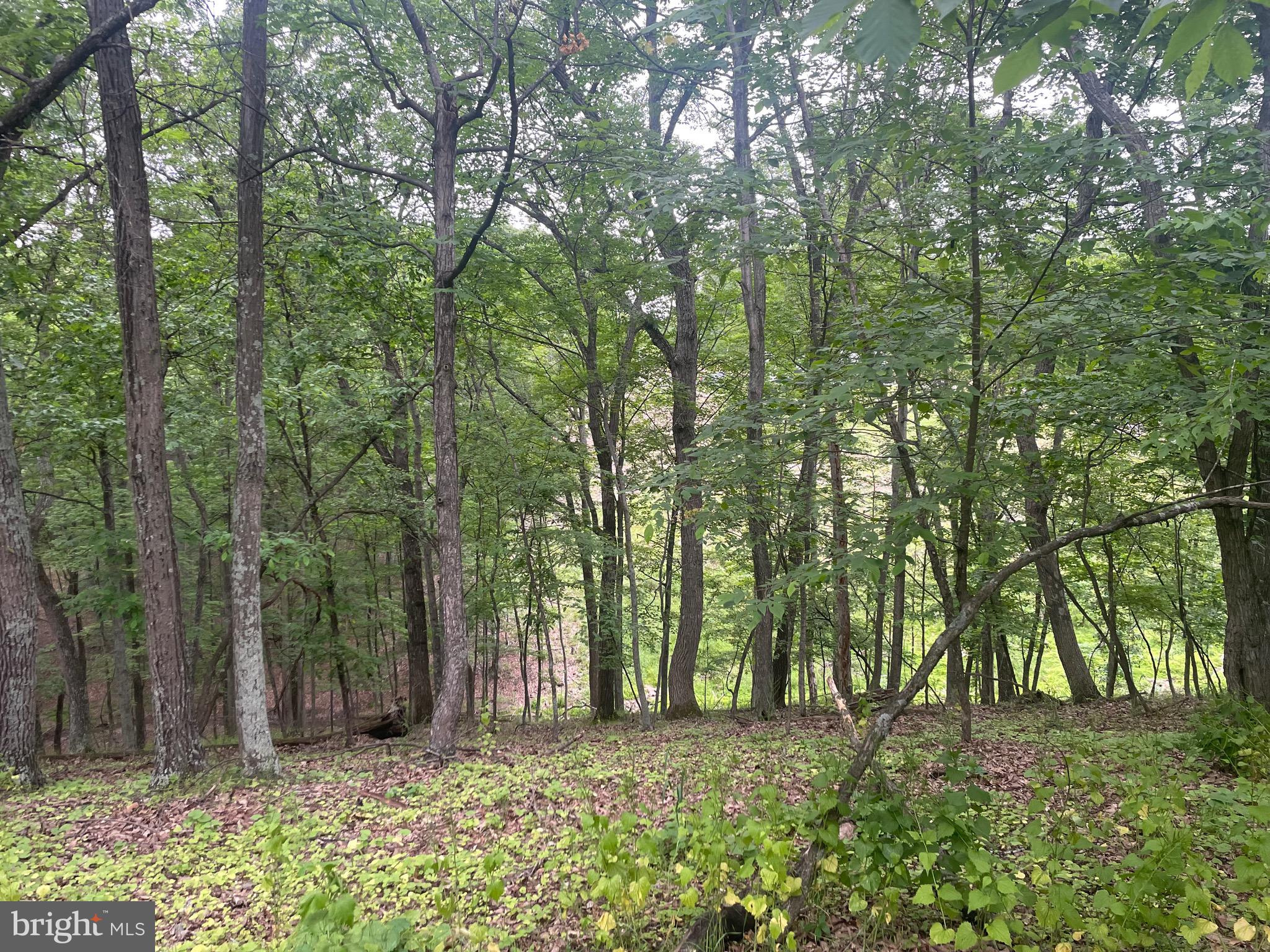 MOUNTAIN HOME SUBDIVISION - Residential