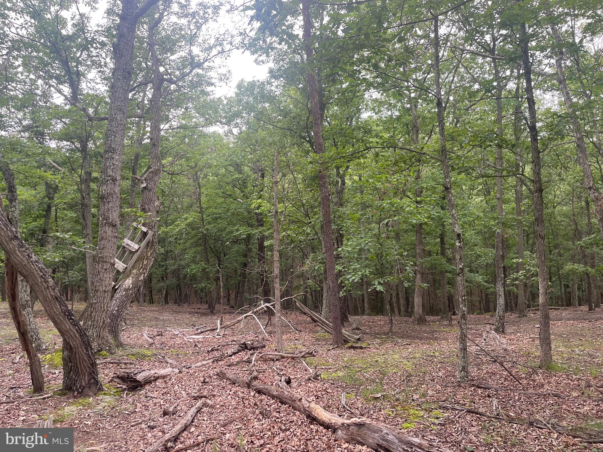 MOUNTAIN HOME SUBDIVISION - Residential