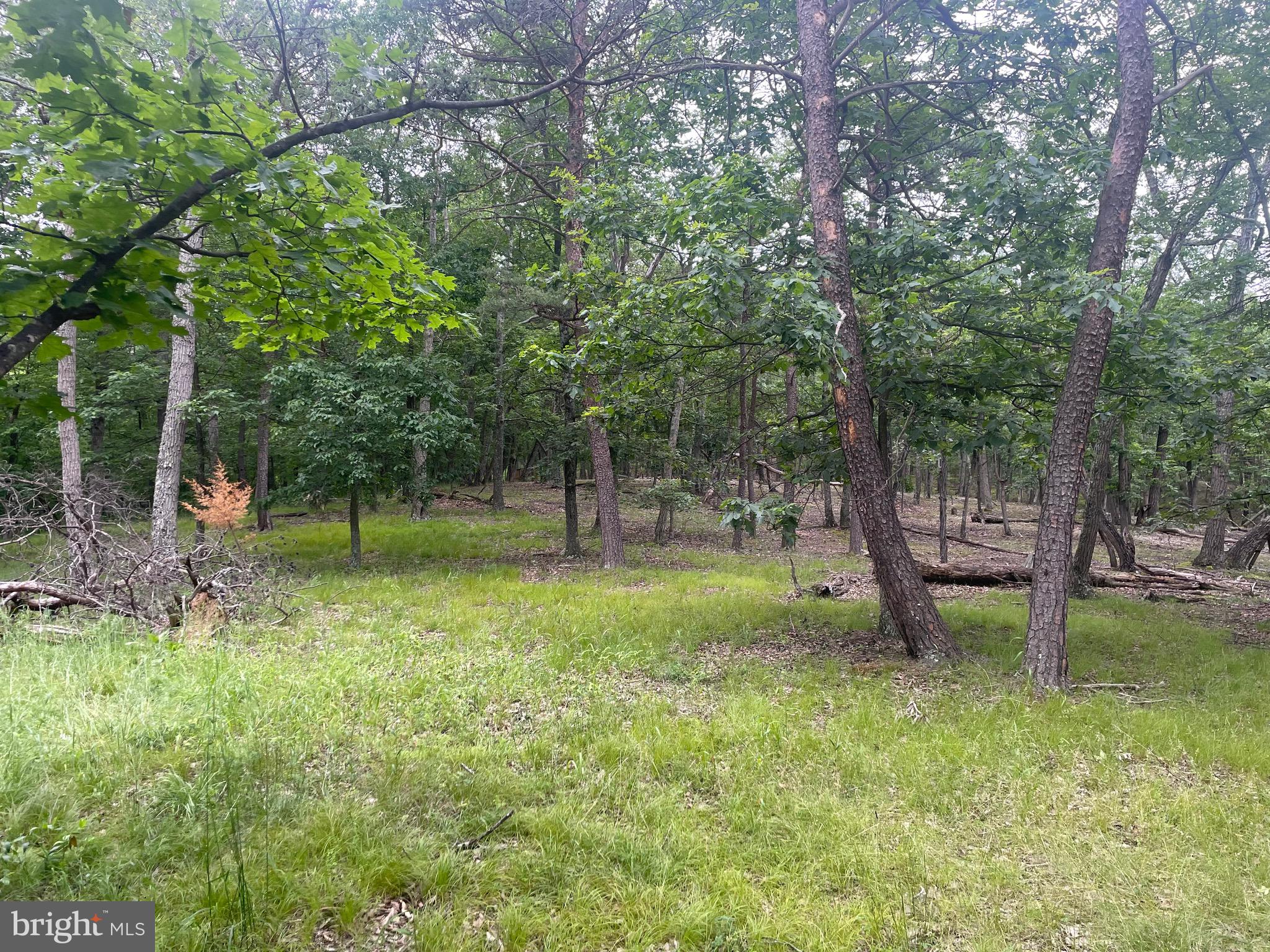 MOUNTAIN HOME SUBDIVISION - Residential