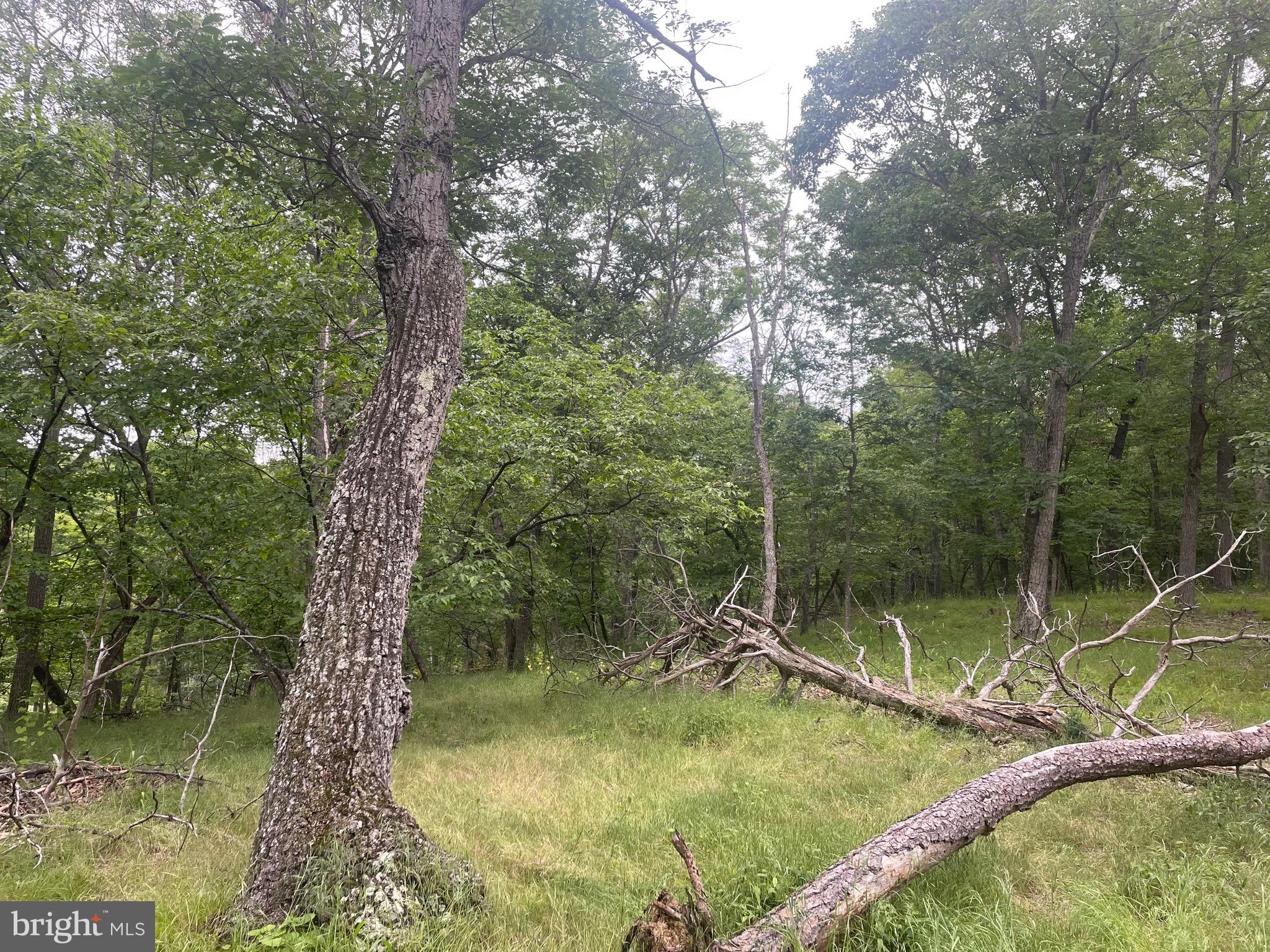 MOUNTAIN HOME SUBDIVISION - Residential