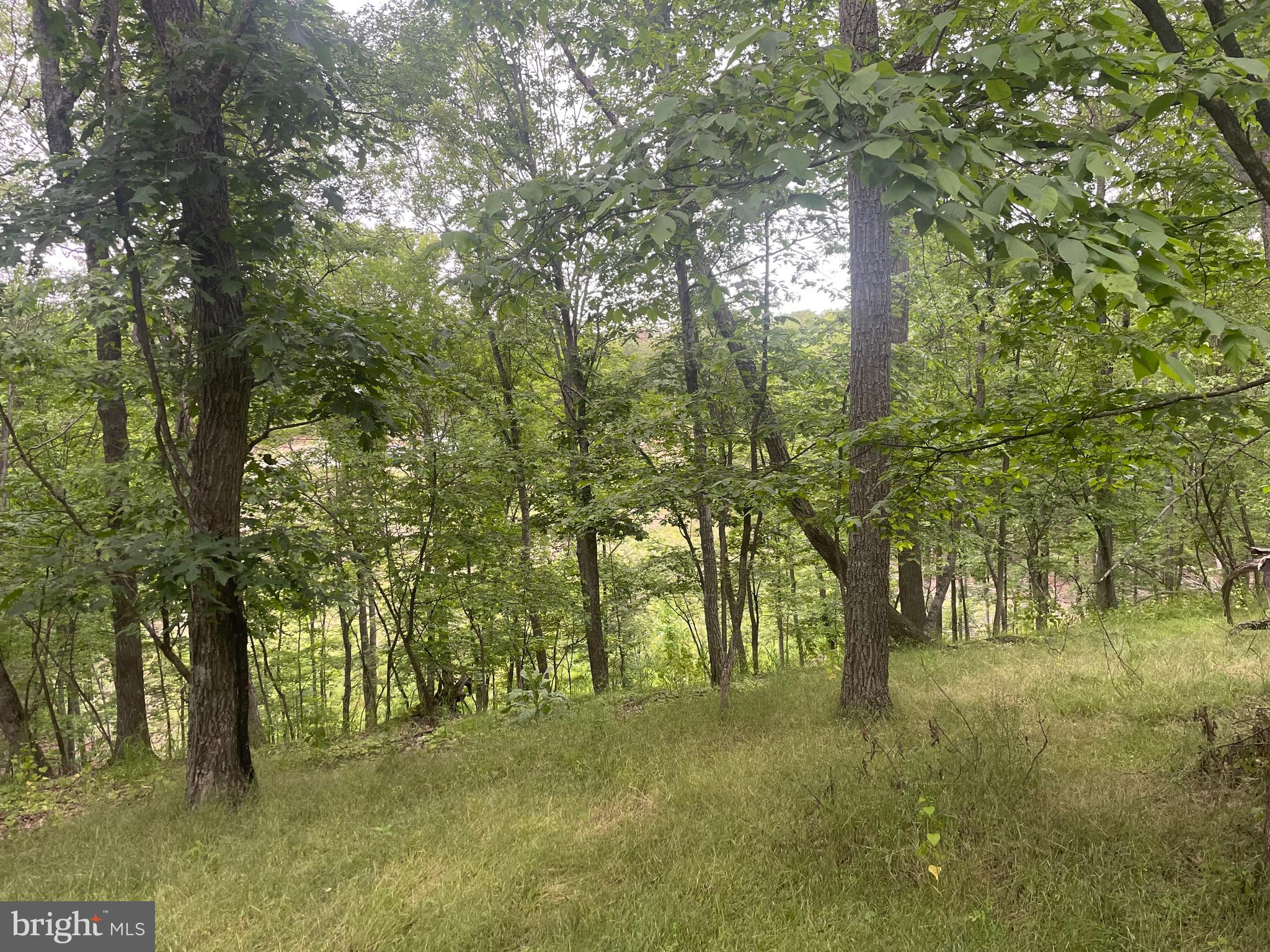 MOUNTAIN HOME SUBDIVISION - Residential