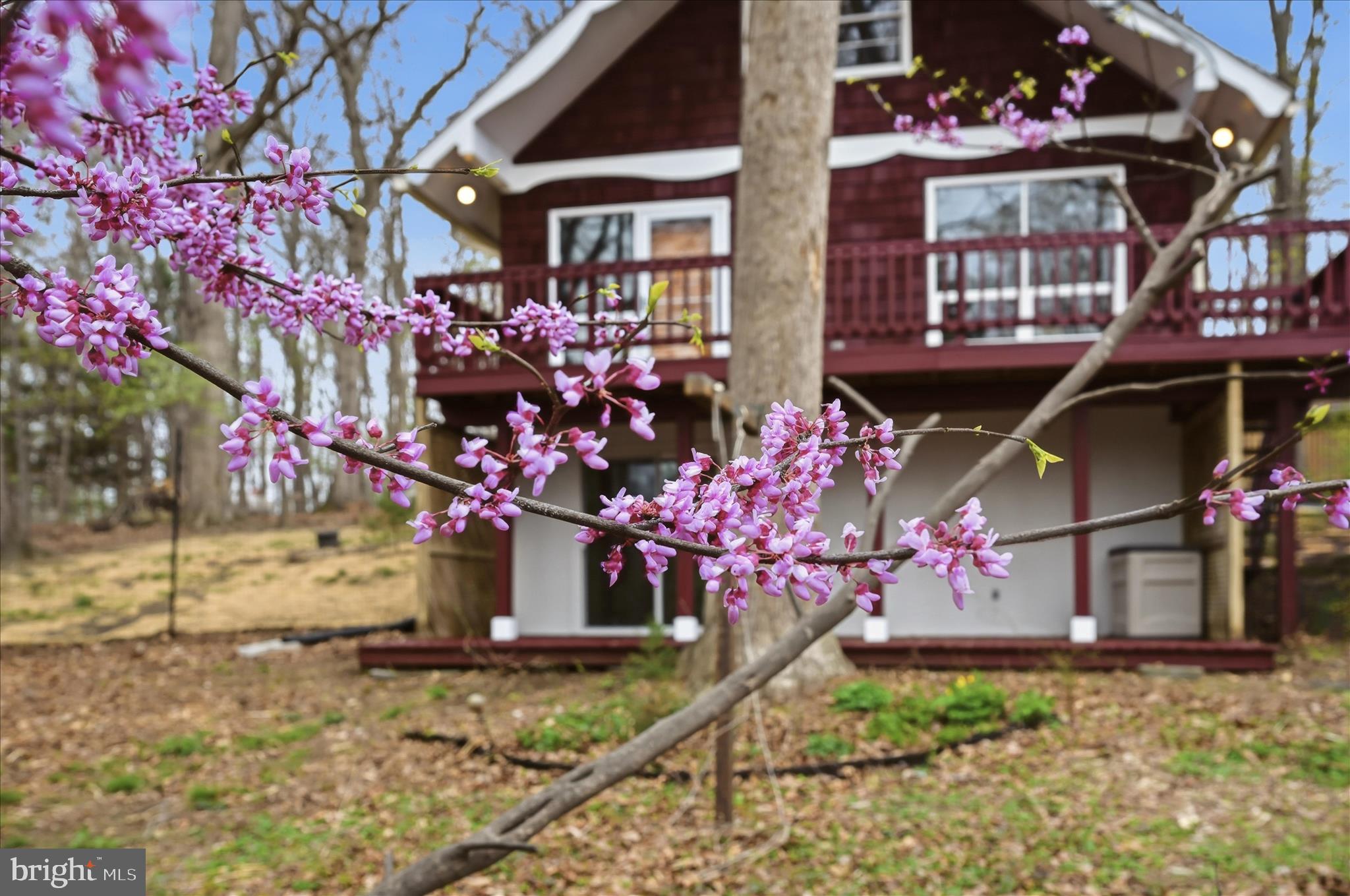 SHANNONDALE - Residential