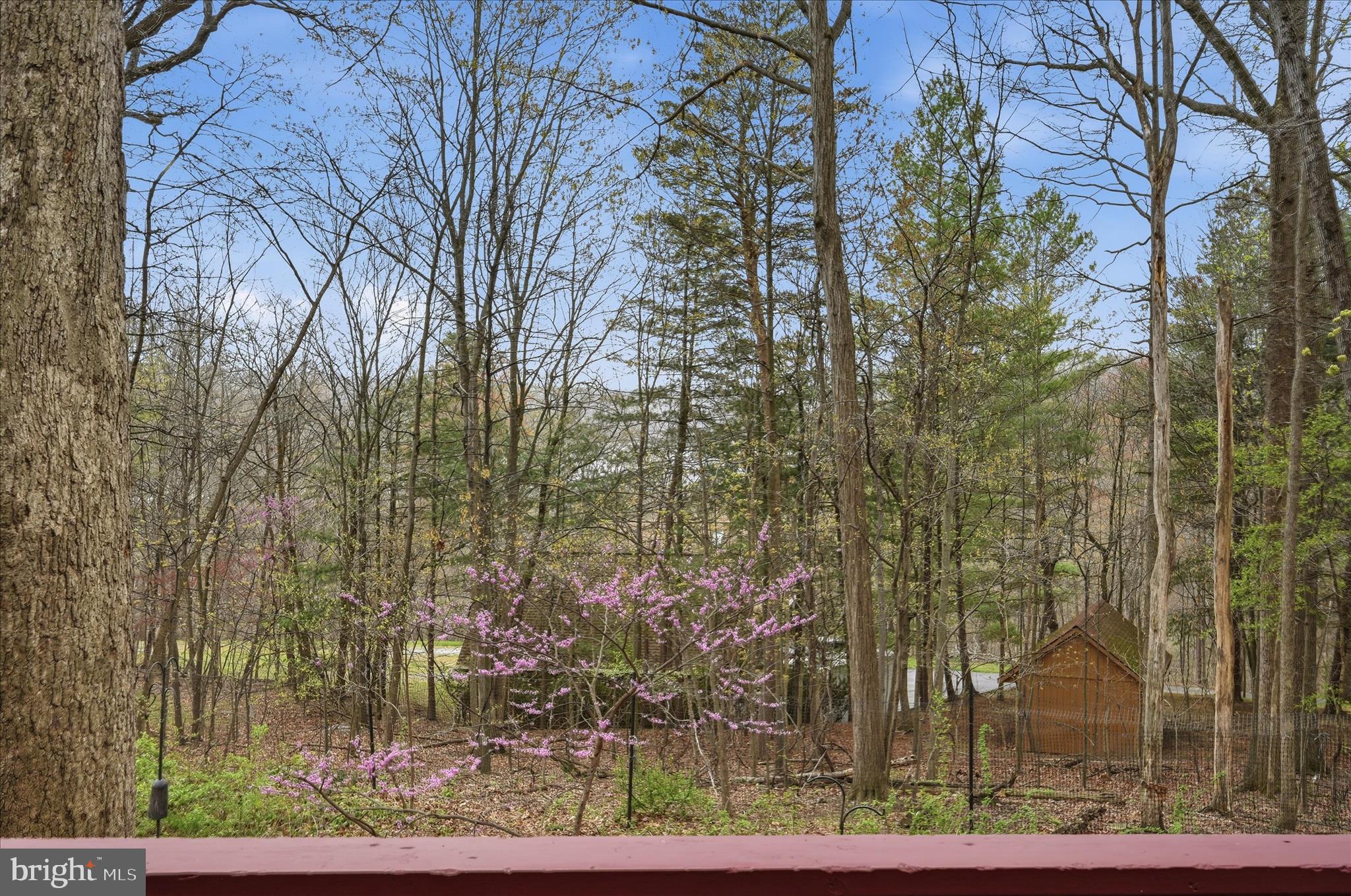 SHANNONDALE - Residential