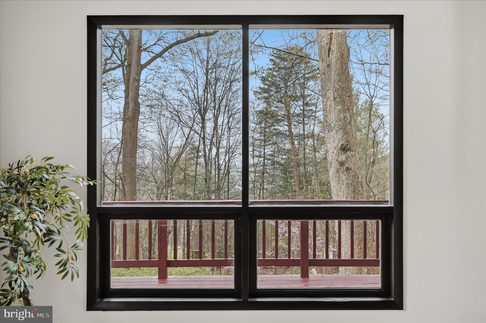 SHANNONDALE - Residential