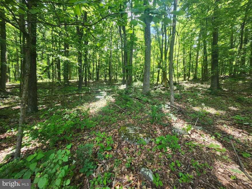 Tucked into the rugged and beautiful West Virginia Mountain landscape is where you will find this affordable 3 Acre parcel of land.  Just outside the town of Capon Bridge makes this a perfect location for those looking to get away for the weekend or live year-round!  With easy restrictions in place, this retreat welcomes mobile homes and recreational vehicles, inviting individuals to create their own rustic retreat or cozy camping.  Wake up to the crisp mountain air, stepping outside your door, and immersing yourself in the lush greenery and nature that surrounds you.  The lot is wooded and easily walkable, offering a gentle slope from front to back.  Road frontage and access to utilities close by.  Enjoy dining, music, shopping and floating the Capon River all nearby!  Whether you're seeking solace in the great outdoors or yearning for the freedom of living among the trees, this affordable West Virginia Mountain lot beckons you to bring your dreams to life and enjoy rural living.  Adjoining 3-acre lot is also for sale – buy both and have more room to spread out!!  
ADJOINING LOT LOT #65 ( PARCEL ID NO. 14-1-25-79) WITH 3 ACRES ALSO FOR SALE (MLS# WVHS2004754   )