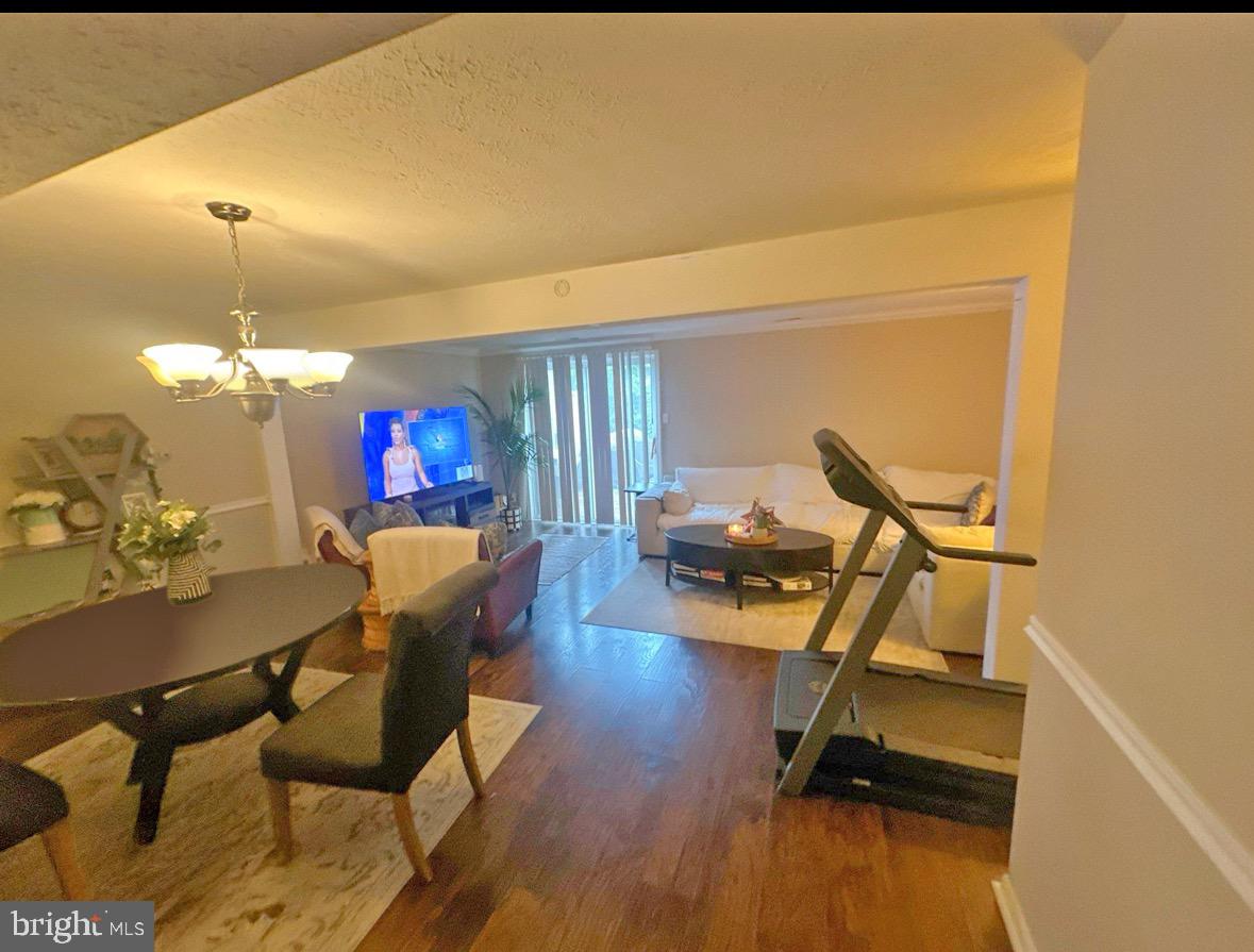 17 DORCHESTER CIRCLE