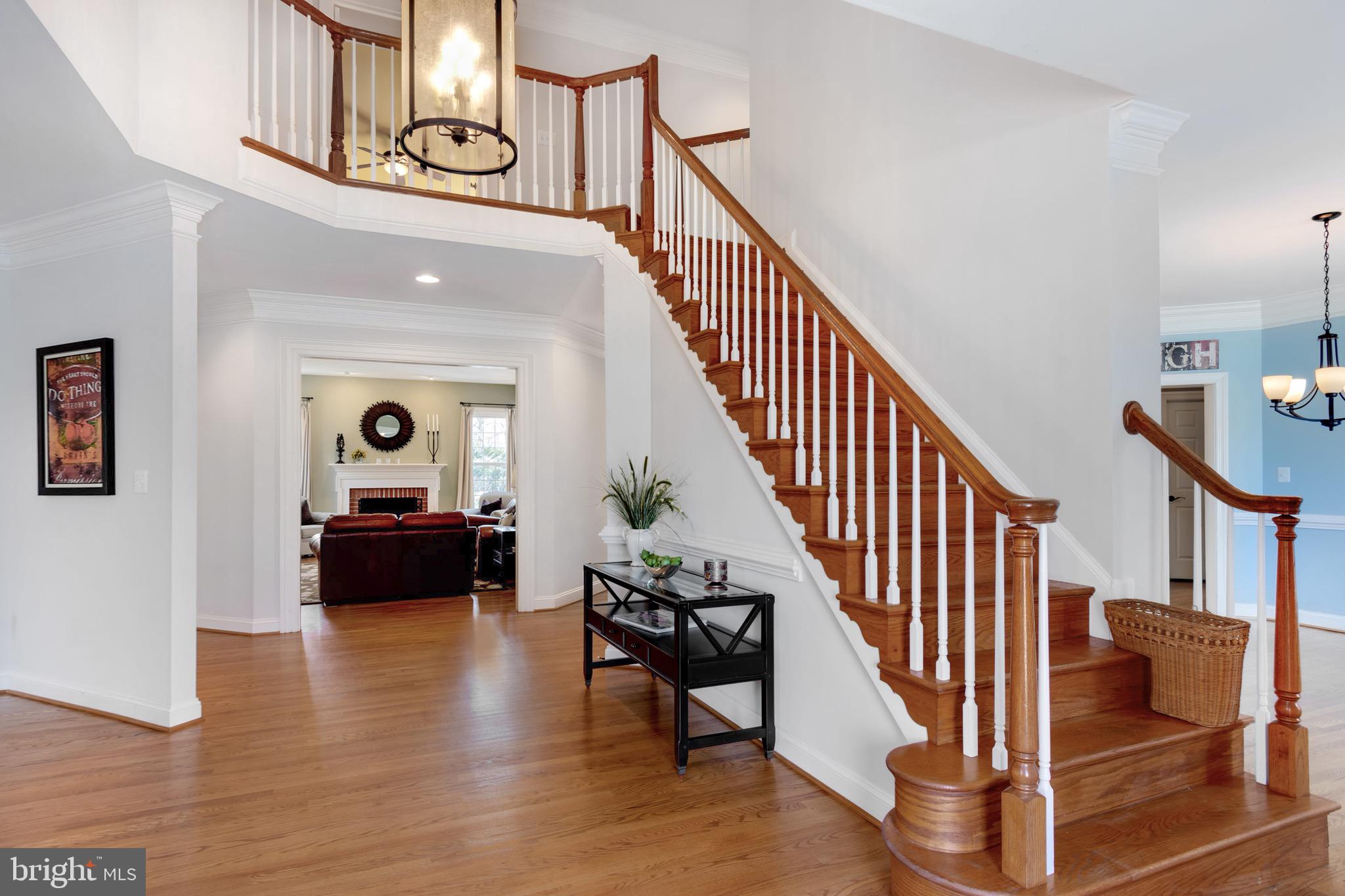 HARLEQUIN - Residential