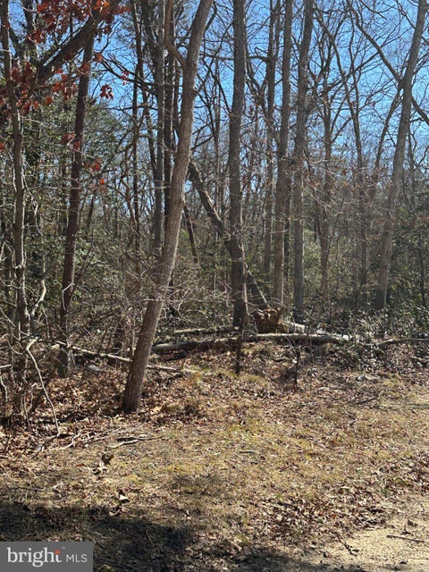 Vacant Land For Sale - Seaview Avenue<br/> MILLVILLE, NJ 08332