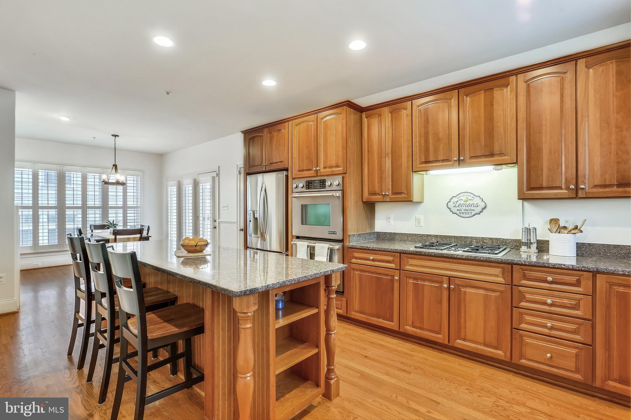 CLARKSBURG VILLAGE - Residential