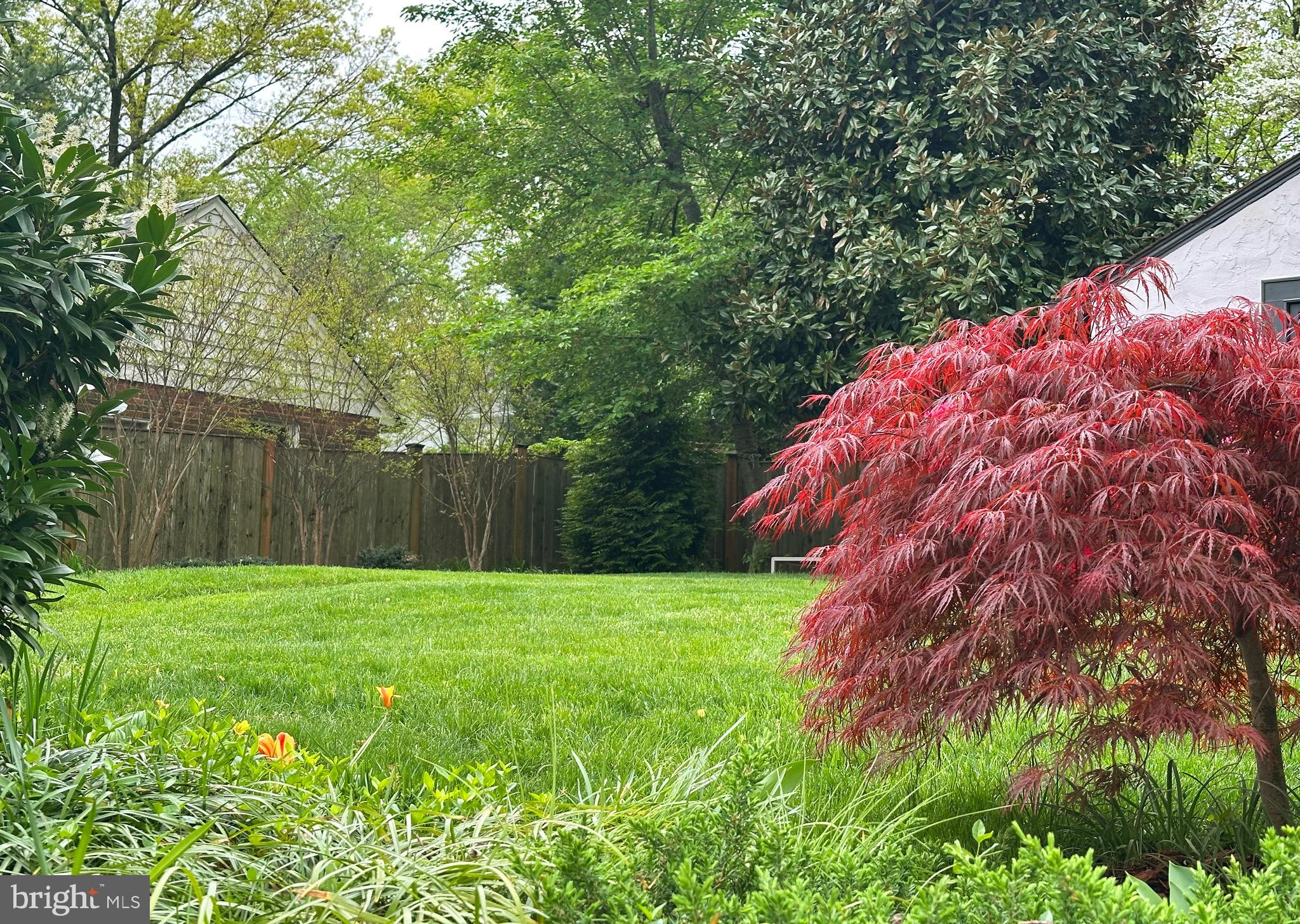 WESLEY HEIGHTS - Residential