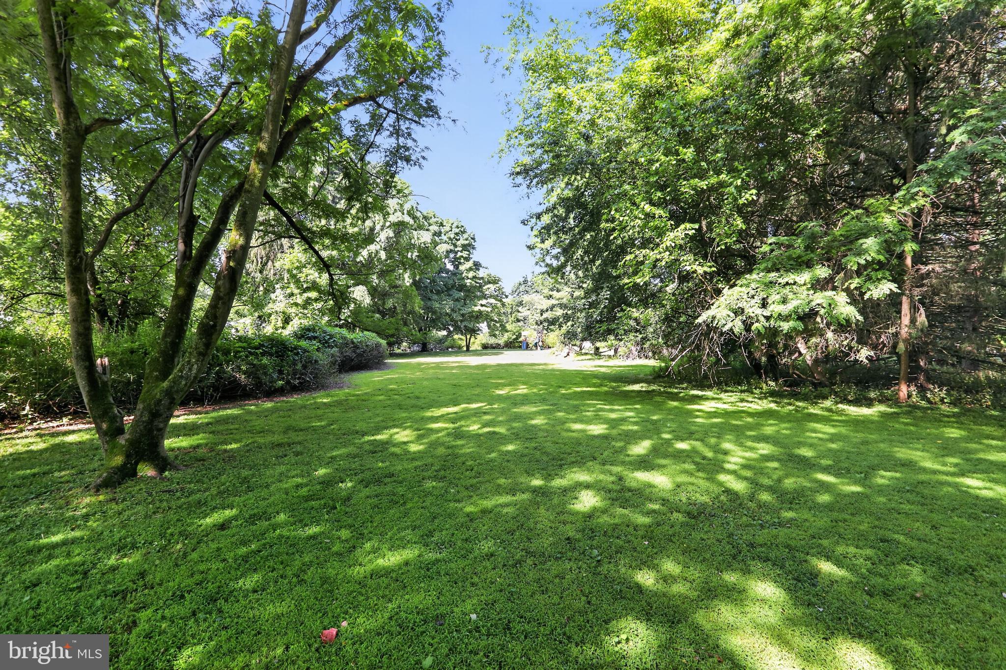 1043 CAROLYN DRIVE