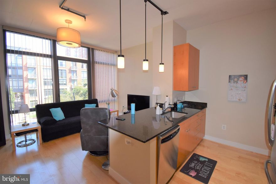 Rare Studio at 520 John Carlyle! Walk-able neighborhood with Whole Foods, Starbucks, Old Town Alexandria & Eisenhower Metro. This unit was developed by PN Hoffman, this studio home is modern & open with a view of the courtyard. Tons of natural light! Beautiful wood floors, granite countertops throughout, Stainless Steel Appliances, Wash/Dryer in unit. Assigned garage space and additional storage space. High ceilings and ample closet space.  Available October 1!