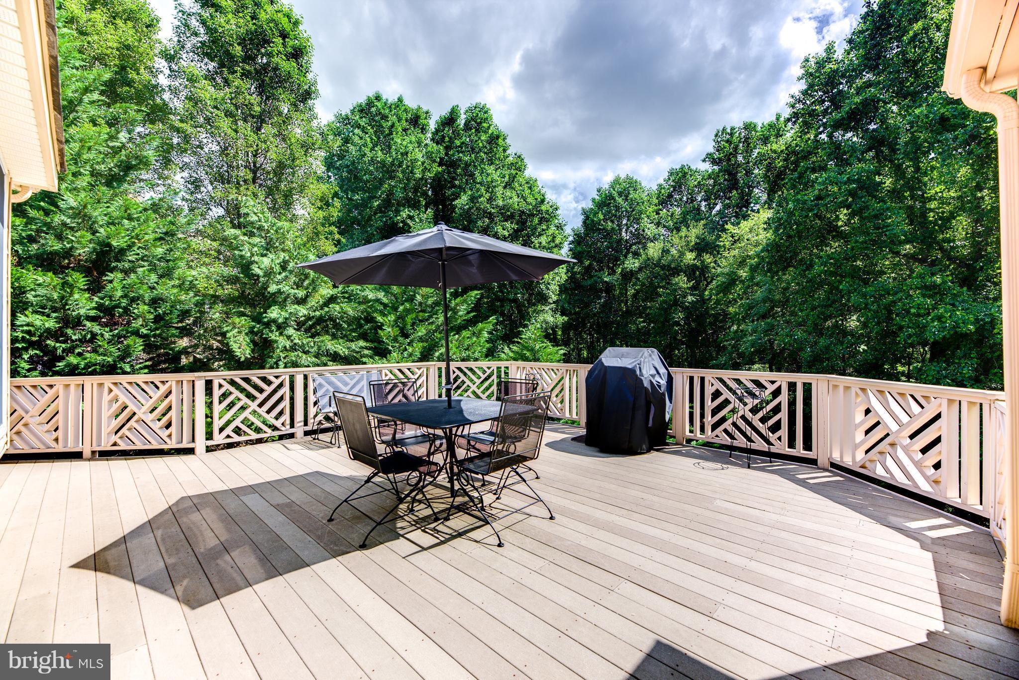 HUNTER MILL ESTATES - Residential