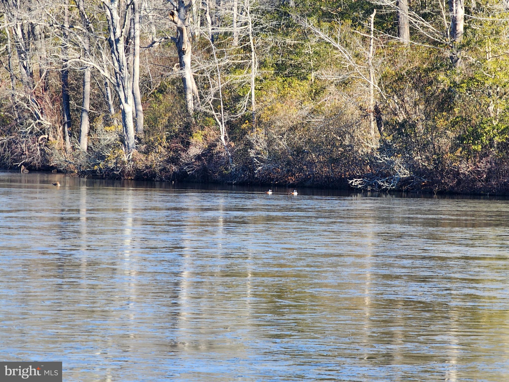 GARLAND LAKE - Residential