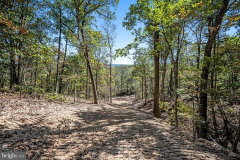 LOT 5 BACK CREEK RD GORE VA 22637