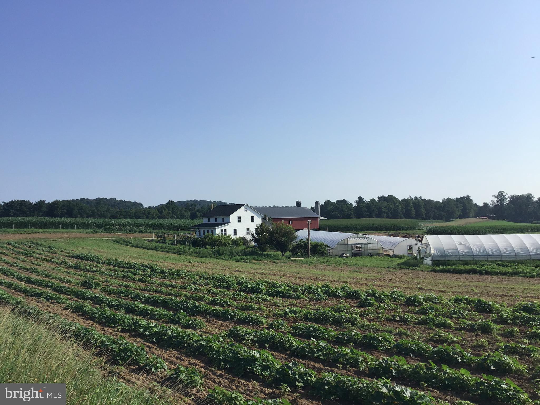 NONE AVAILABLE - Farm