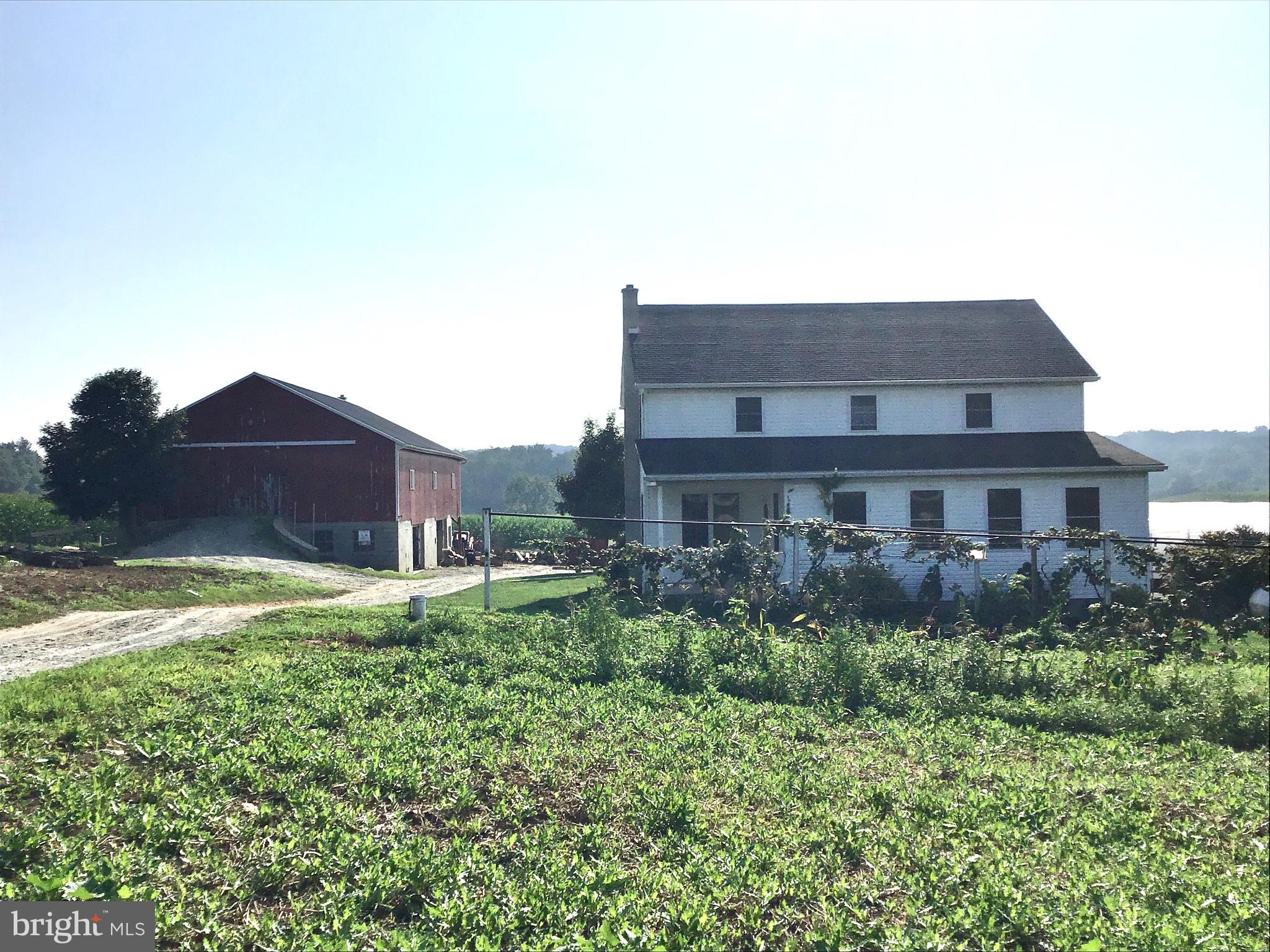 NONE AVAILABLE - Farm