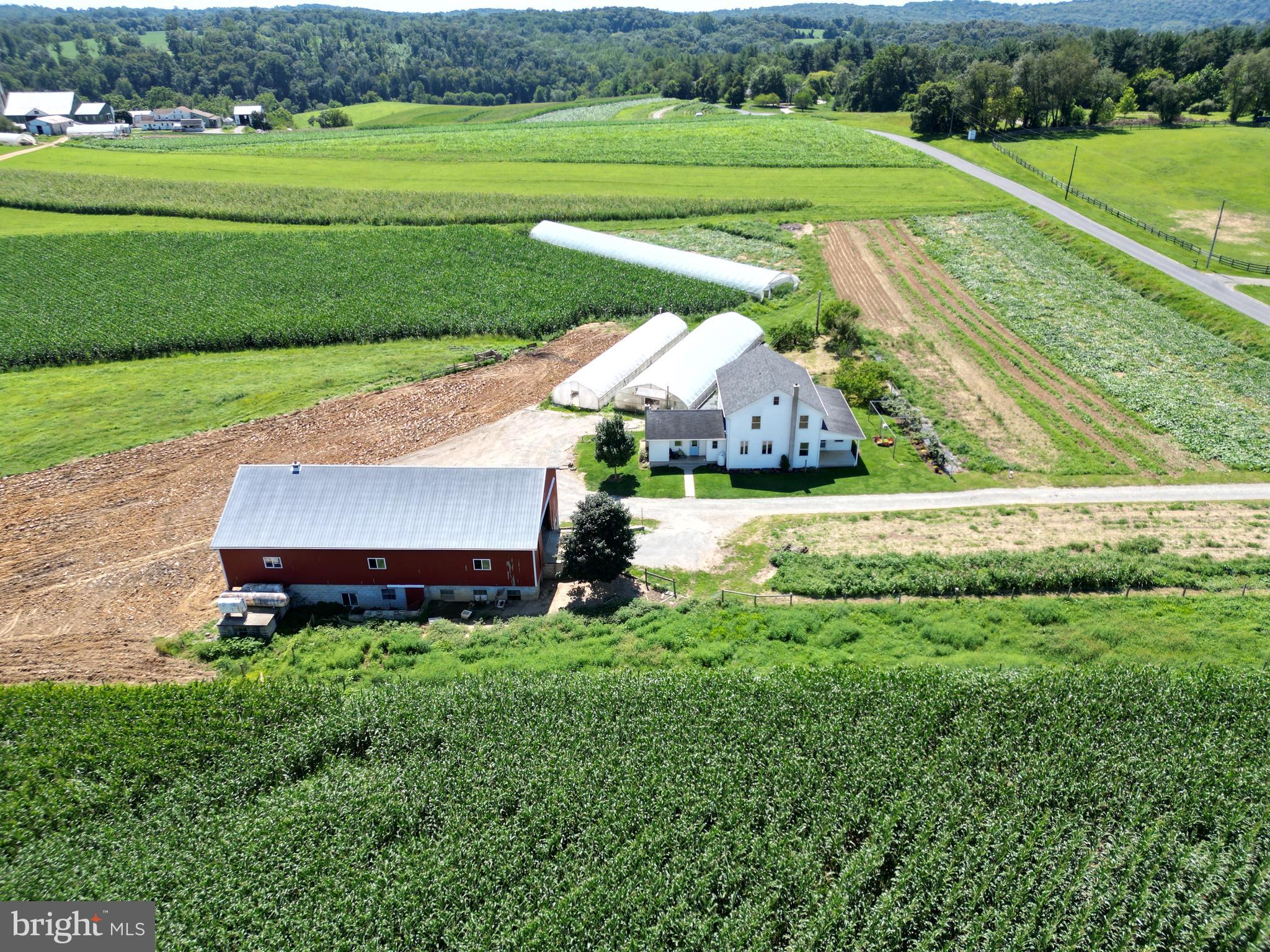 NONE AVAILABLE - Farm