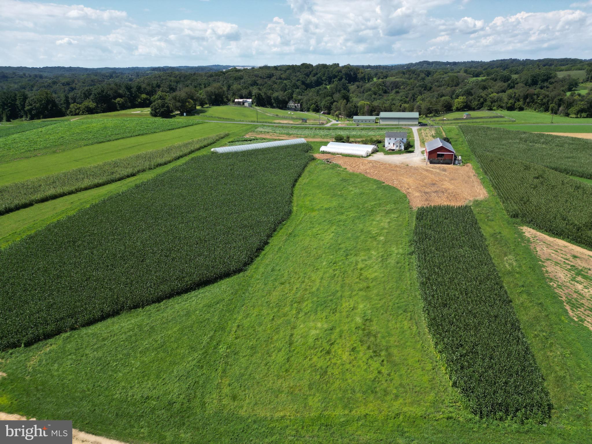 NONE AVAILABLE - Farm