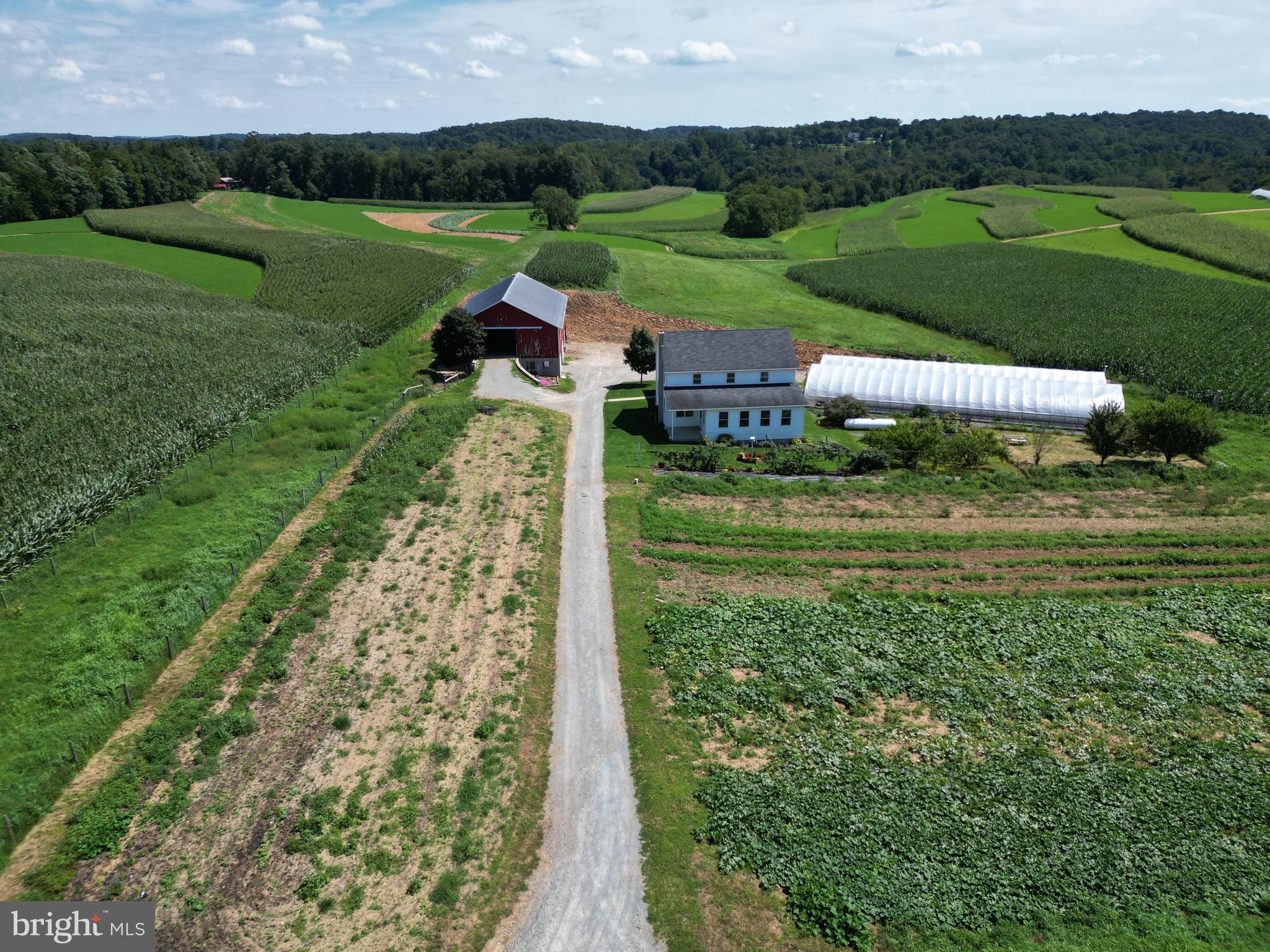 NONE AVAILABLE - Farm