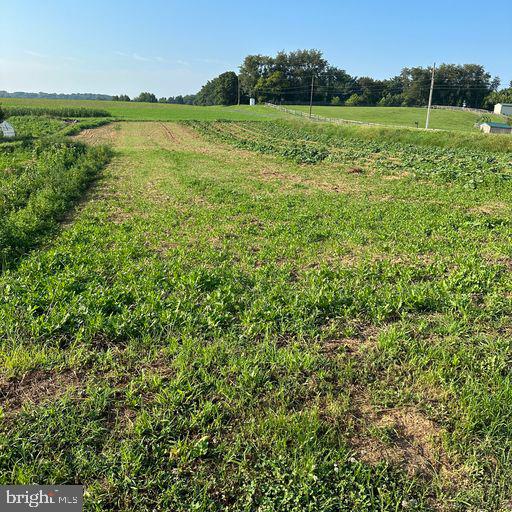 NONE AVAILABLE - Farm