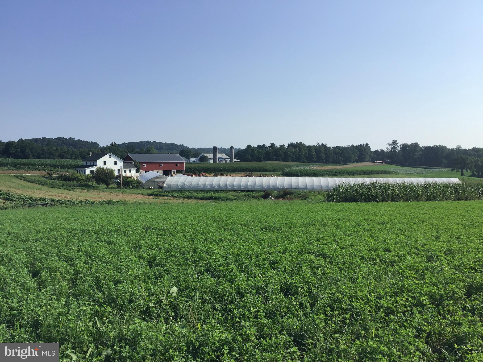 NONE AVAILABLE - Farm