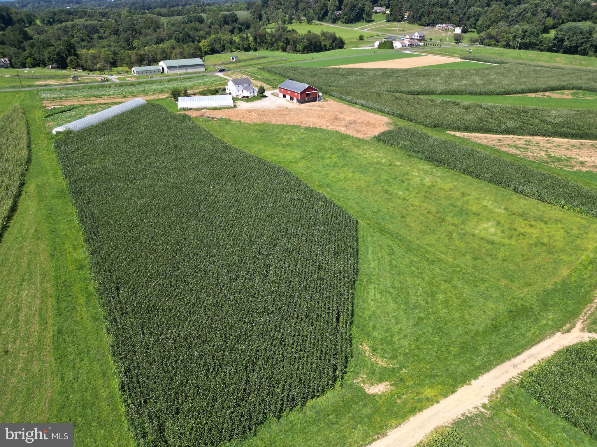 NONE AVAILABLE - Farm