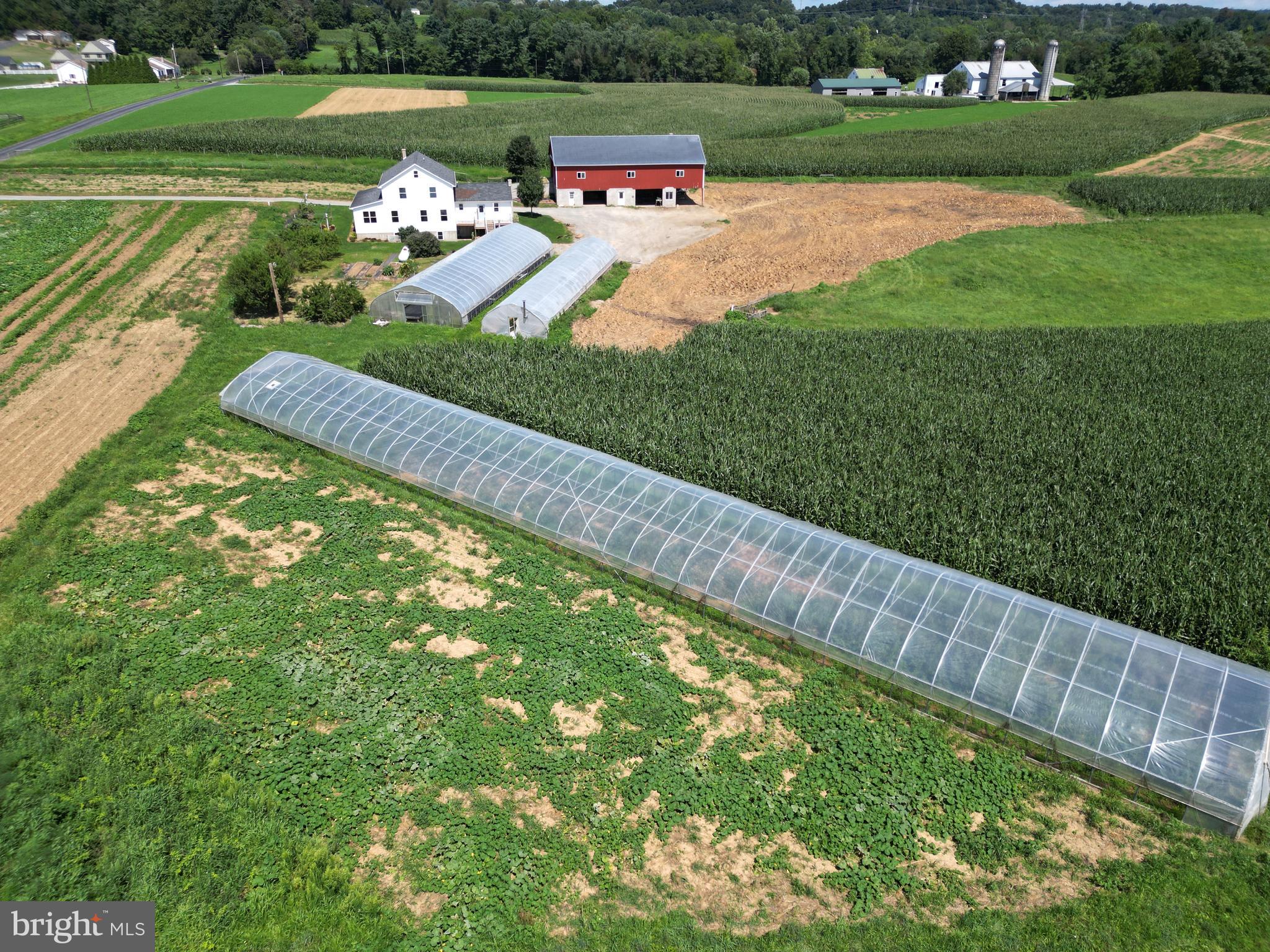 NONE AVAILABLE - Farm