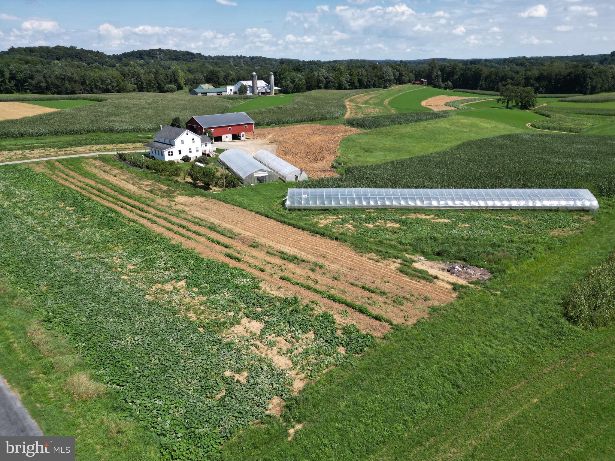 NONE AVAILABLE - Farm