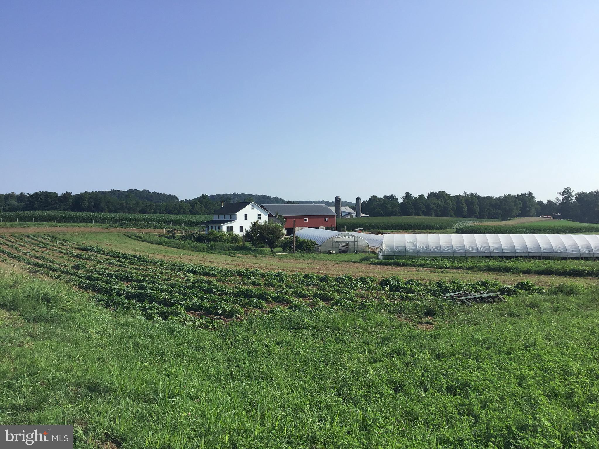 NONE AVAILABLE - Farm