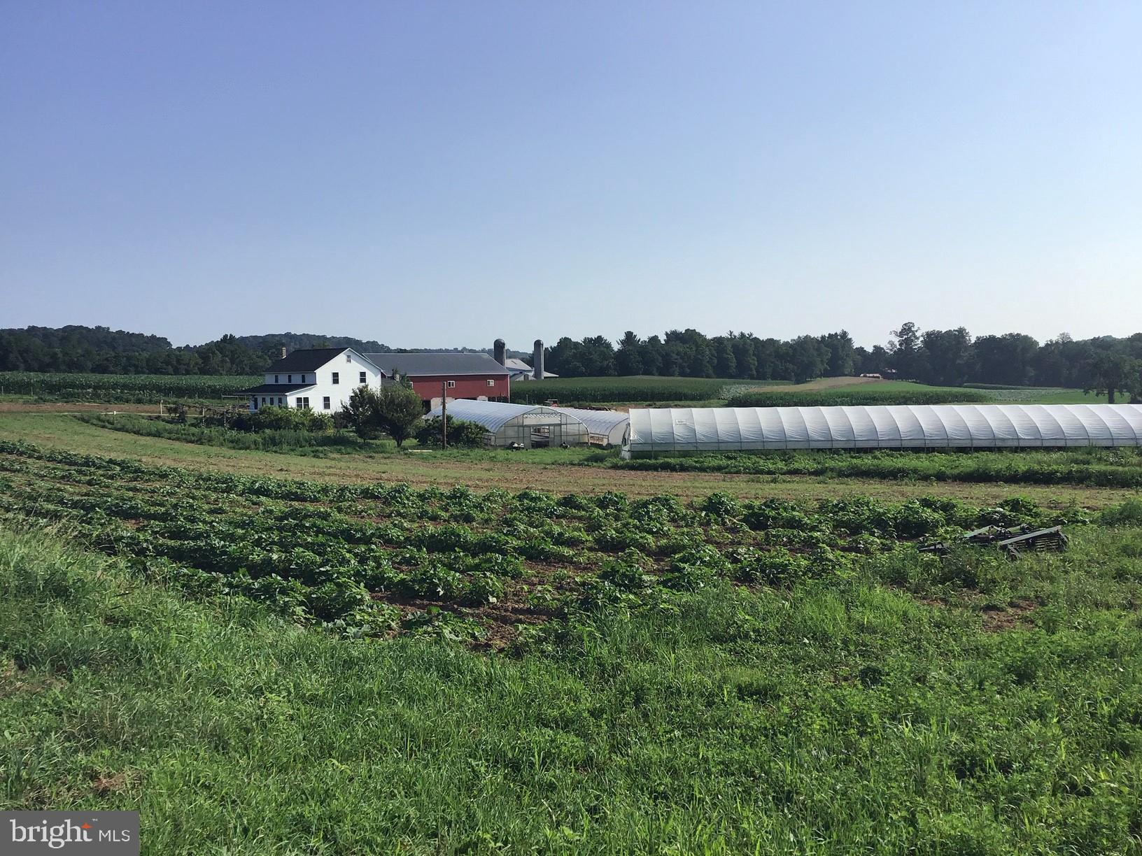 NONE AVAILABLE - Farm