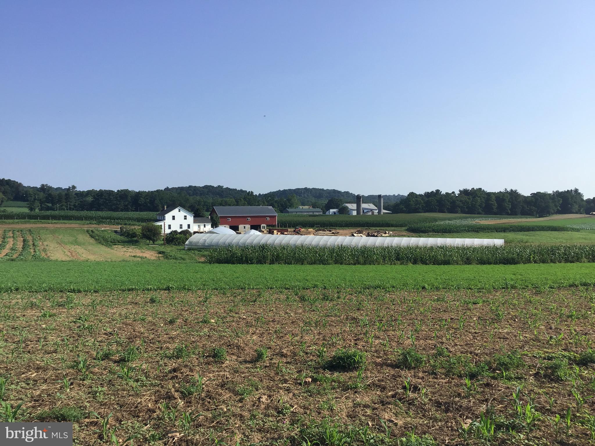 NONE AVAILABLE - Farm