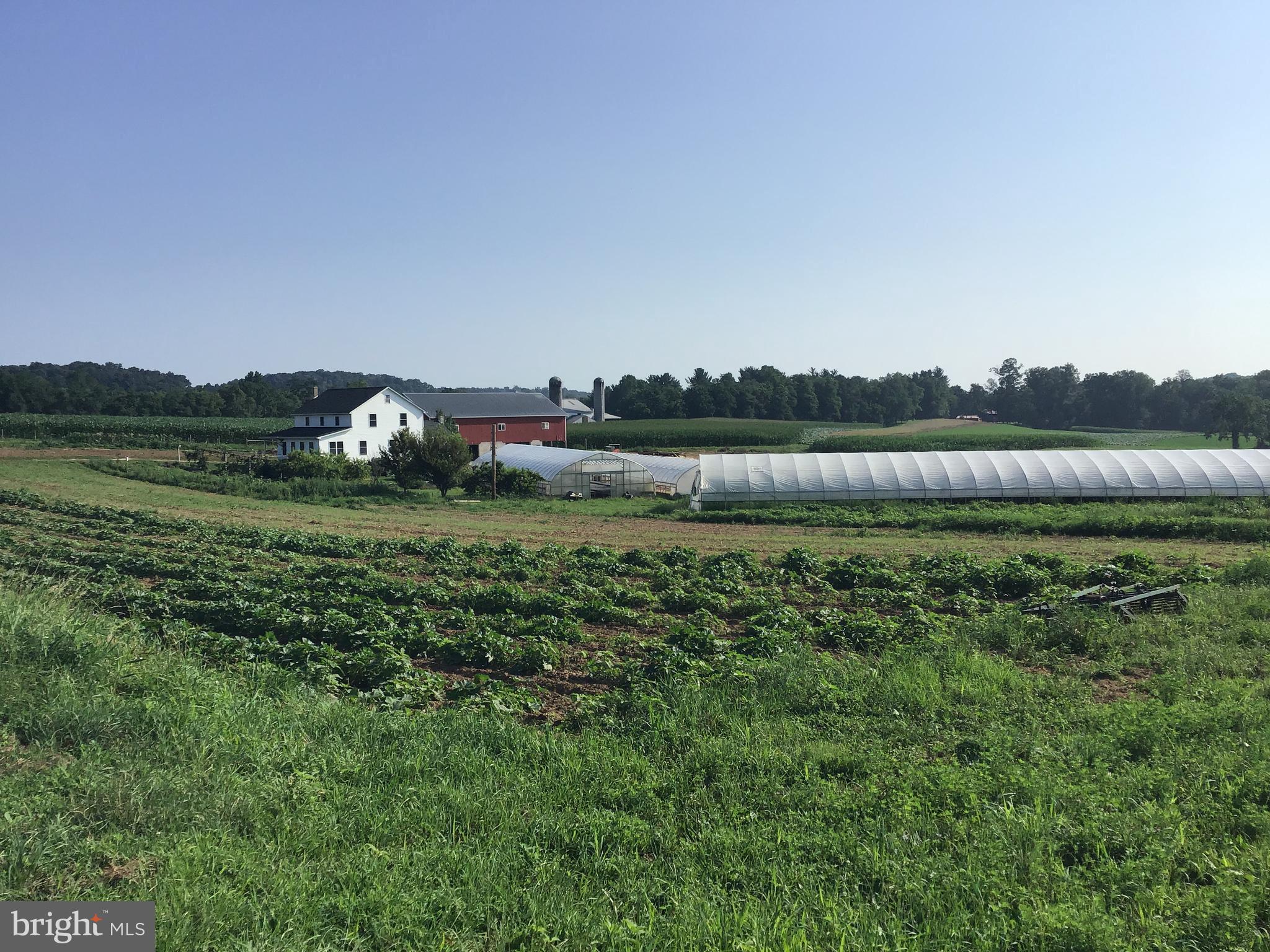 NONE AVAILABLE - Farm