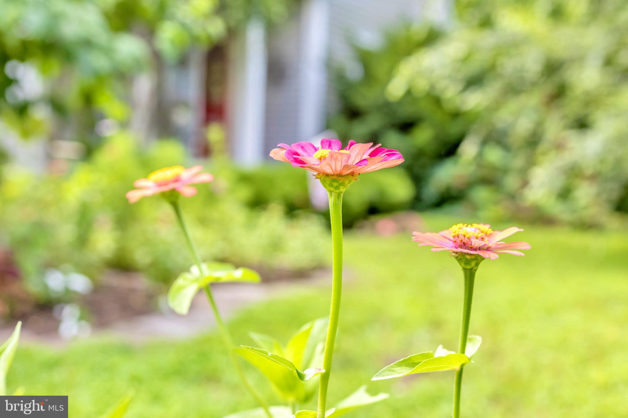 CRUMPTON - Residential