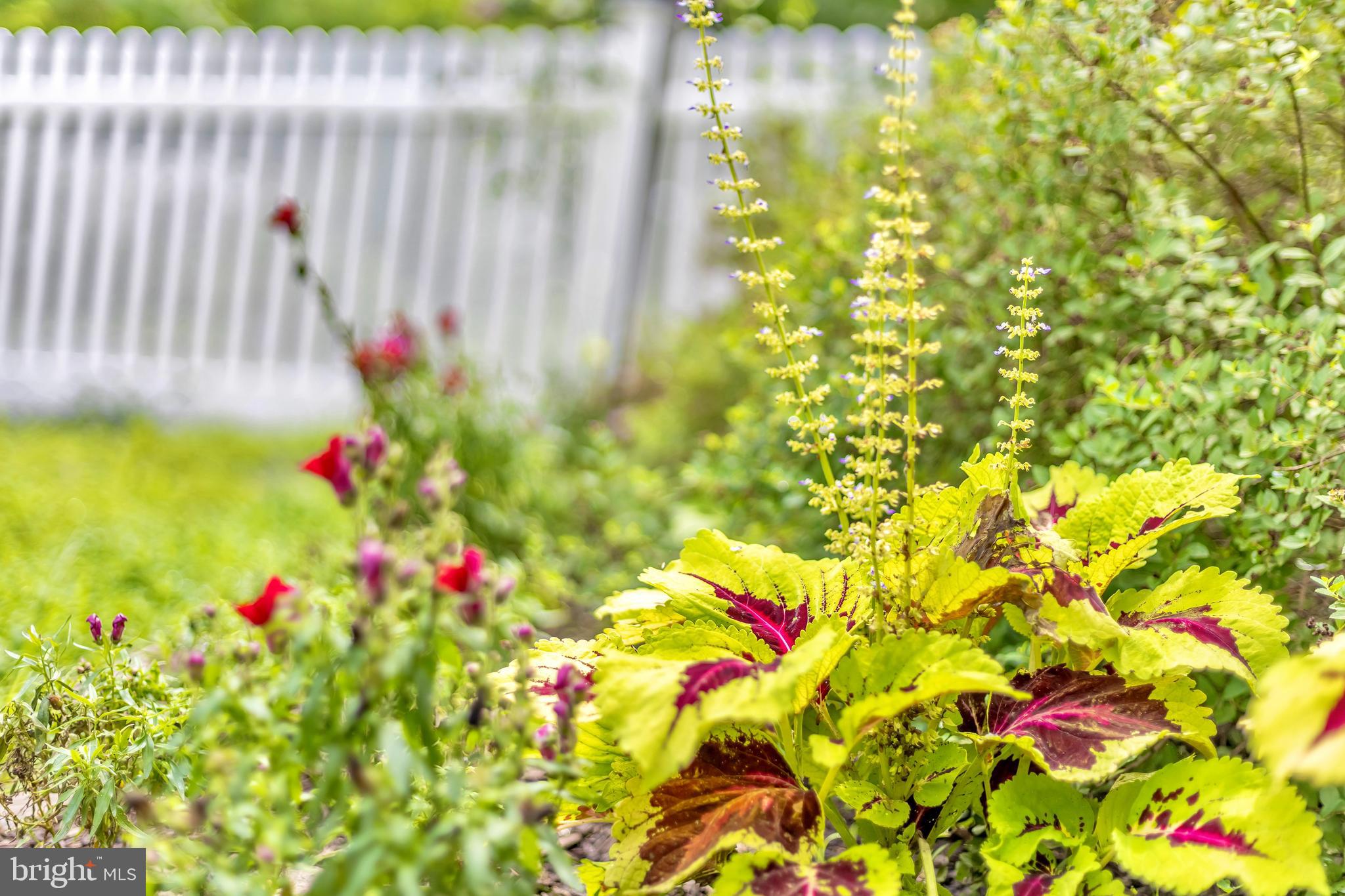 CRUMPTON - Residential