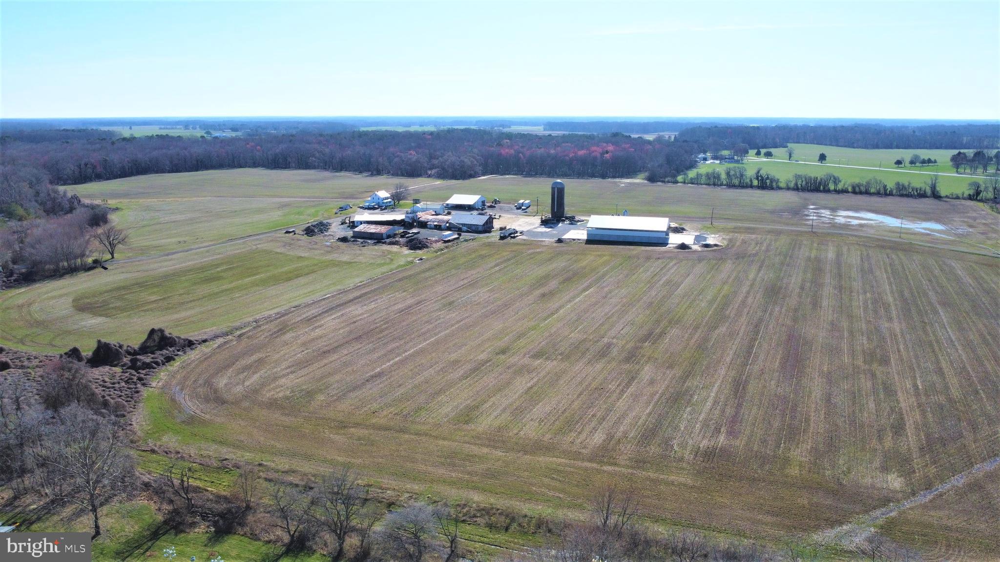 NONE AVAILABLE - Farm